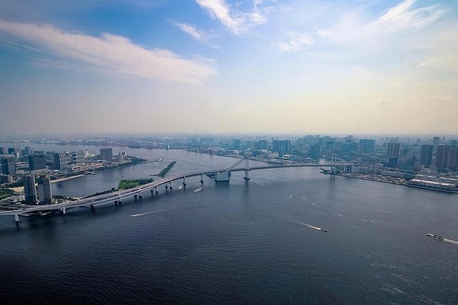 【10 mins】Tokyo Helicopter Tour + Private Car Pickup & Drop off - Who will enjoy this most