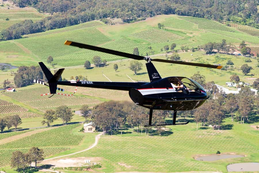 20 Minute Helicopter Scenic Flight Hunter Valley - The opening views: vineyards, hills, and Hunter Valley Gardens