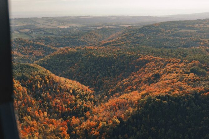 20 Minute Scenic Helicopter Private Tour - A quick flight with a big visual payoff