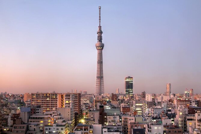 25-Min Downtown Helicopter Tour : Tokyo Skytree and Tokyo Tower - Key points to know before booking