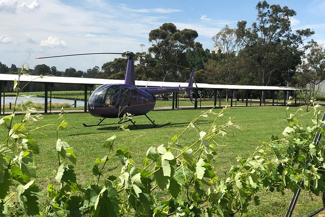 3 Hour Helicopter Wine Tasting Tour in Hunter Valley - Key details at a glance