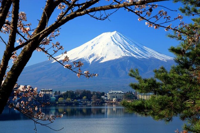 75-Min Mt. Fuji Half Day Private Helicopter Tour - Key points to know before booking