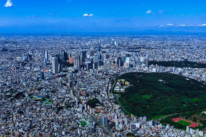 75-Min Mt. Fuji Half Day Private Helicopter Tour - Weather cancellations and the booking risk