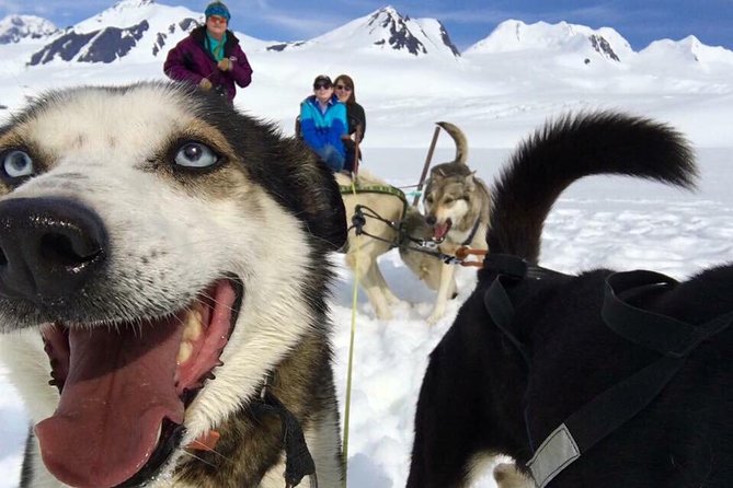 Alaska Helicopter and Glacier Dogsled Tour - ANCHORAGE AREA - Key points to know before booking