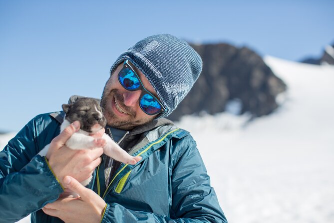 Alaska Helicopter and Glacier Dogsled Tour - ANCHORAGE AREA - The helicopter flight over Knik Glacier