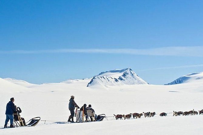 Alaska Helicopter and Glacier Dogsled Tour - ANCHORAGE AREA - Is $761.91 good value?