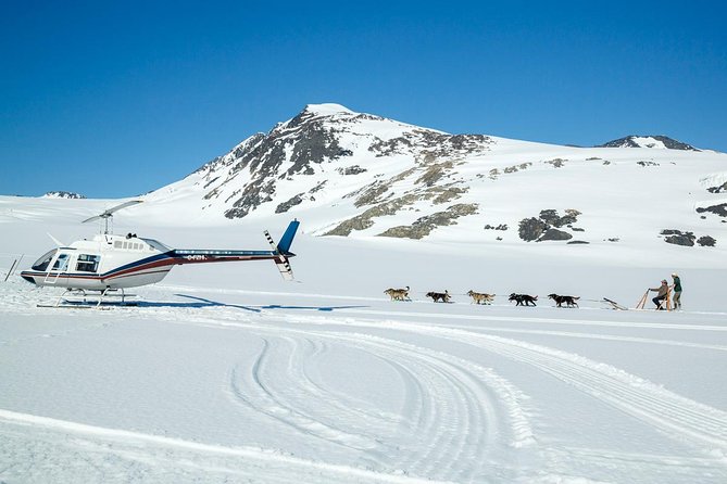 Alaska Helicopter and Glacier Dogsled Tour - ANCHORAGE AREA - Weather, comfort, and practical limits