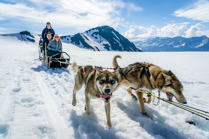Alaska Helicopter and Glacier Dogsled Tour - ANCHORAGE AREA - Landing on snow in the middle of summer