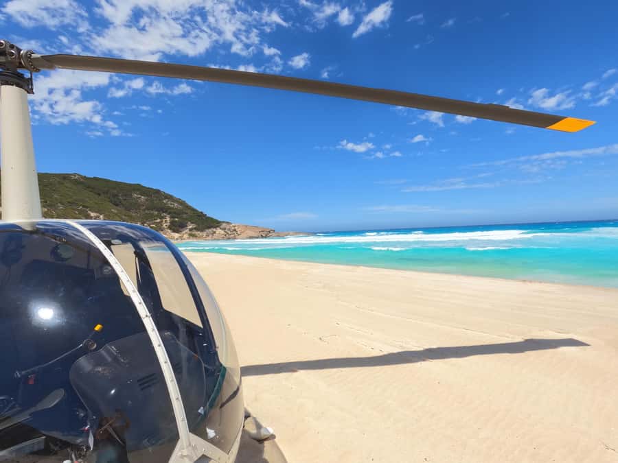 Albany: 60 min scenic helicopter flight - Looking for whales, sharks, and salmon schools