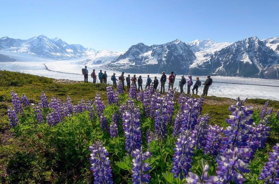 Anchorage: Grand Knik Glacier Helicopter Tour with Landings - Half an hour at each remote stop