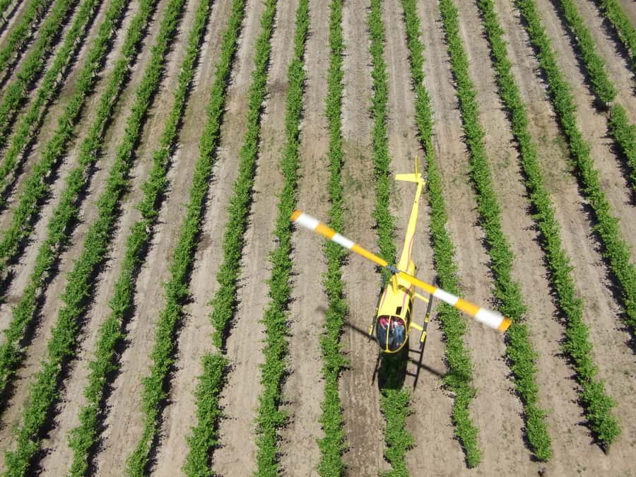 Barossa Valley: 10-Minute Scenic Helicopter Flight - Arriving at Barossa Helicopters in Hoffnungsthal Valley