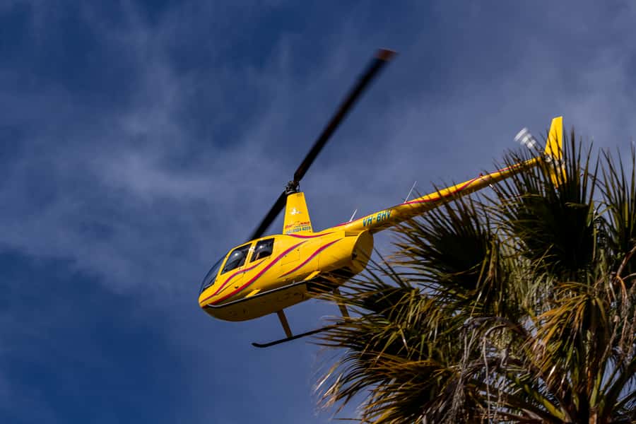 Barossa Valley: 30 Minute Scenic Helicopter Flight - Is $265 per person good value?