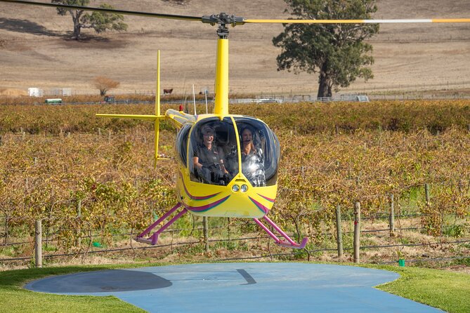 Barossa Valley Deluxe: 30-Minute Helicopter Flight - Thirty minutes over Seppeltsfield, Penfolds, and the vines