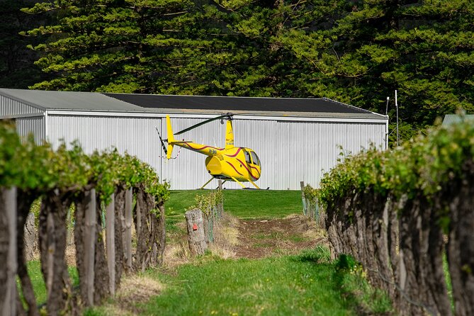 Barossa Valley Deluxe: 30-Minute Helicopter Flight - What the flight feels like for a first-time passenger