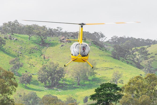 Barossa Valley Deluxe: 30-Minute Helicopter Flight - The 10-minute briefing is part of the experience