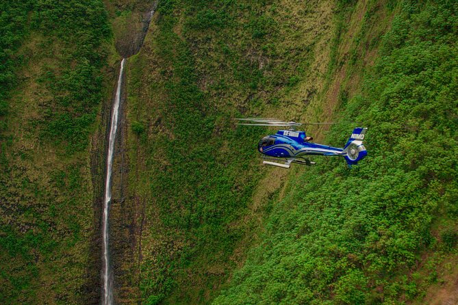 Big Island Spectacular Helicopter Tour - The old Puu Oo eruption area