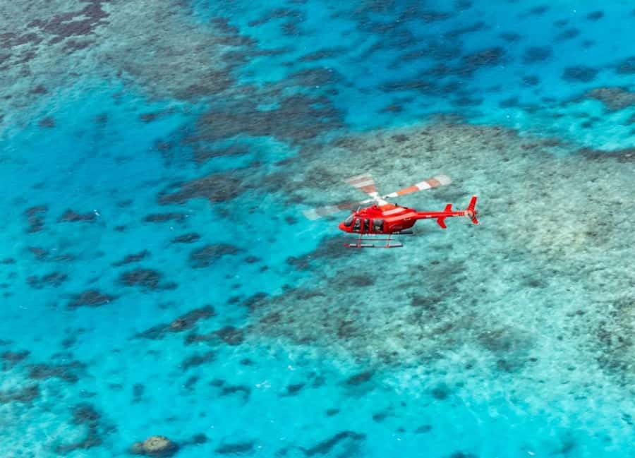 Cairns: Great Barrier Reef 30-Minute Helicopter Flight - Key points to know before you book