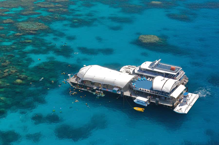 Cairns: Great Barrier Reef Cruise & 10 Minute Helicopter - The best parts of this Great Barrier Reef day