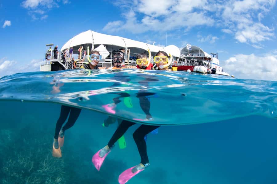 Cairns: Great Barrier Reef Cruise & 10 Minute Helicopter - From Cairns terminal to the outer reef