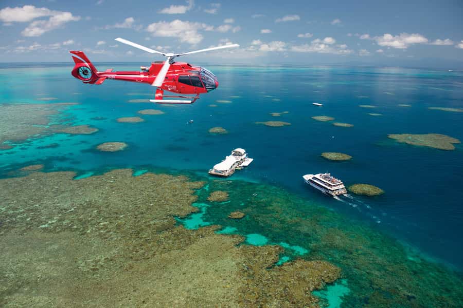 Cairns: Great Barrier Reef Cruise & 10 Minute Helicopter - Snorkeling among the coral gardens