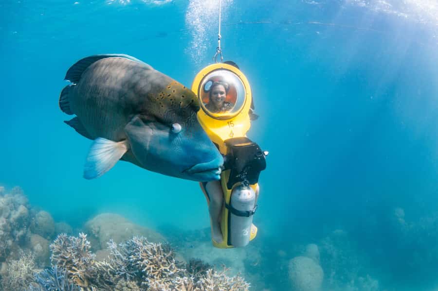 Cairns: Great Barrier Reef Cruise & 10 Minute Helicopter - The semi-submarine and underwater observatory