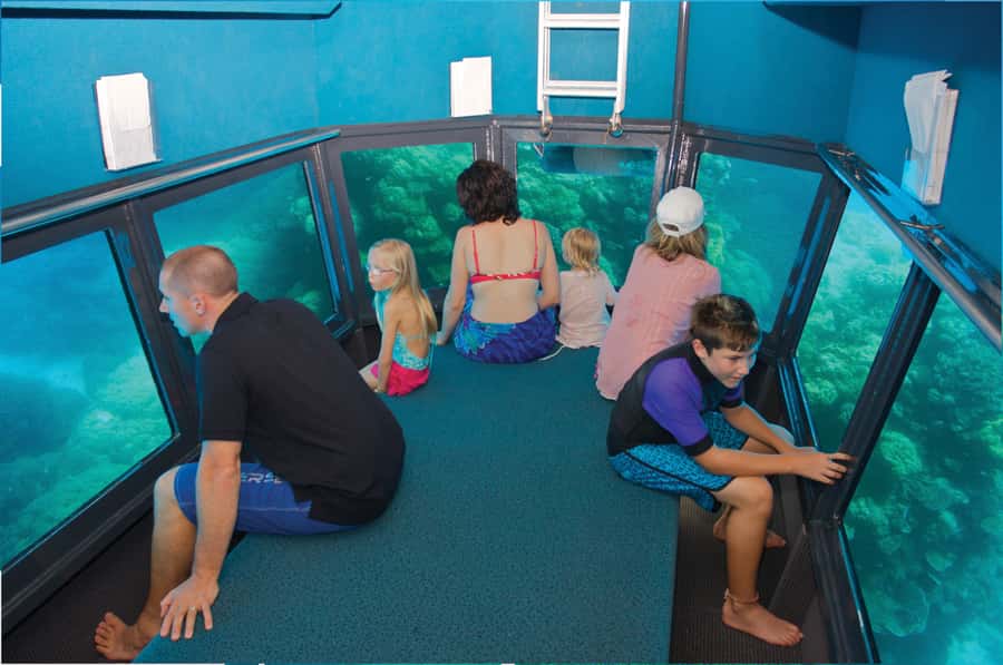 Cairns: Great Barrier Reef Cruise & 10 Minute Helicopter - Lunch and the rhythm of the afternoon