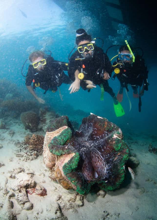 Cairns: Great Barrier Reef Cruise & 10 Minute Helicopter - Who should book this reef cruise