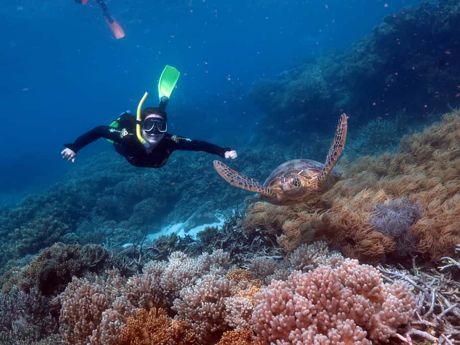 Cairns: Great Barrier Reef Cruise & 10 Minute Helicopter - Practical ways to make the day better
