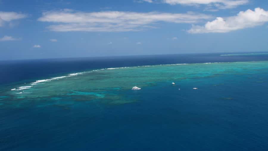 Cairns: Great Barrier Reef Cruise & Scenic Helicopter Flight - Who will enjoy this day most