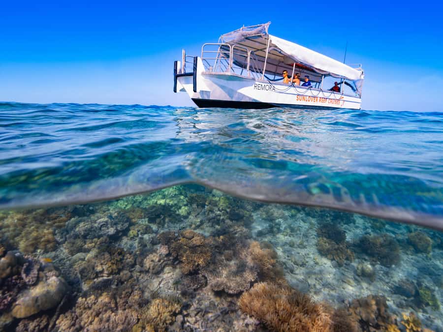 Cairns: Great Barrier Reef Pontoon, Travel by Helicopter - The waterslide, lunch, and four hours at the reef