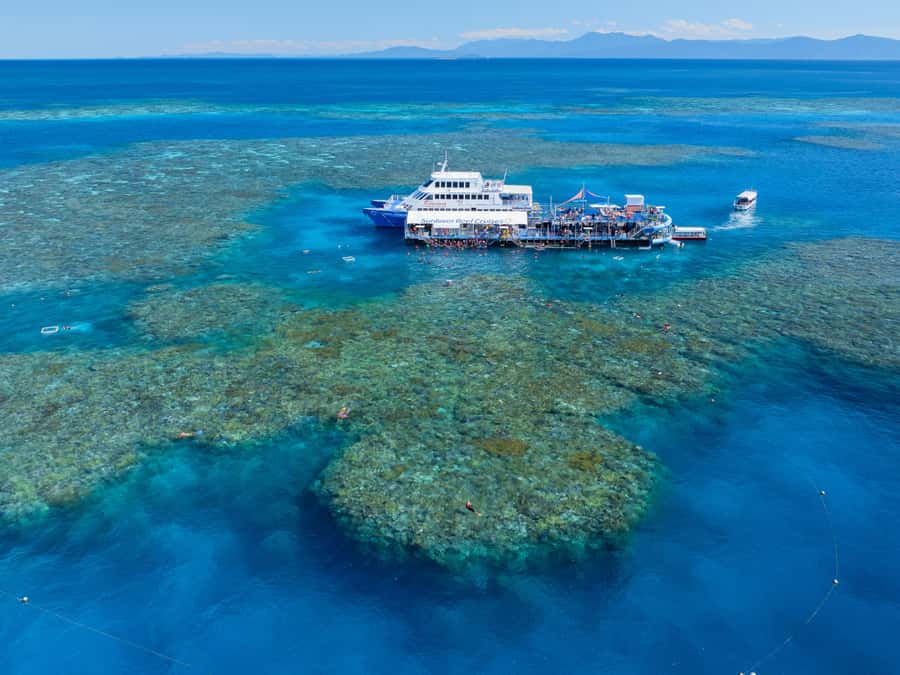 Cairns: Great Barrier Reef Pontoon, Travel by Helicopter - Who will get the most from this tour