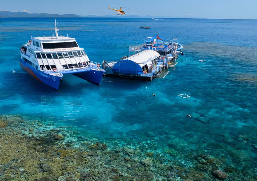 Cairns: Half Day Helicopter & Snorkeling Tour - Key points to know before you book