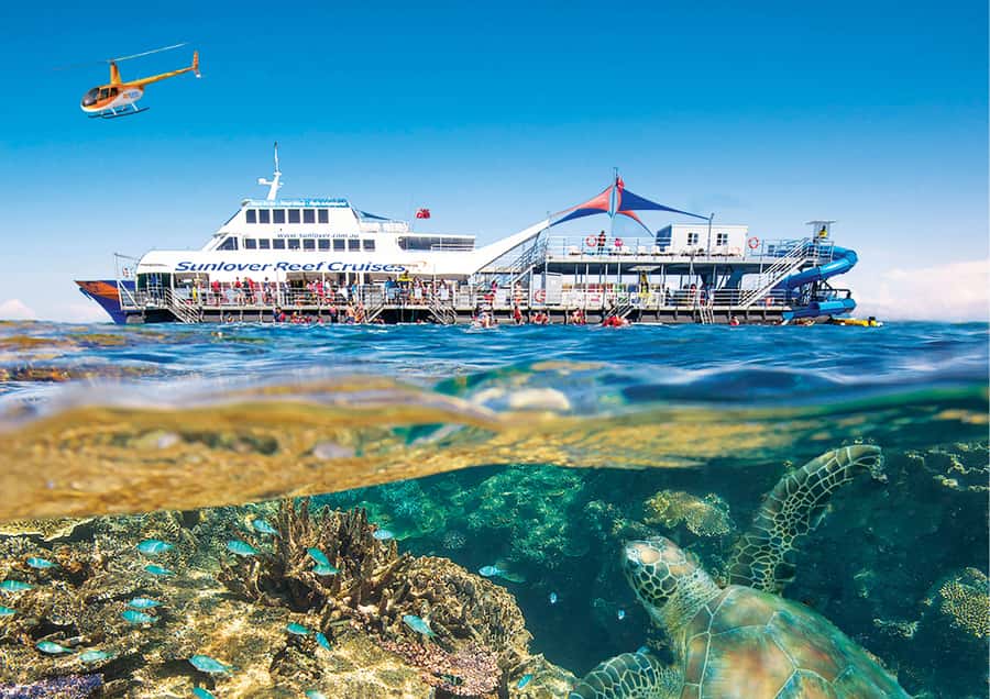 Cairns: Half Day Helicopter & Snorkeling Tour - The helicopter view is worth weighing against the price