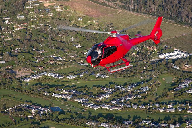 Cape of Good Hope Helicopter Private Tour with Stellenbosch Wine Tasting & Lunch - A note about the wildlife claims