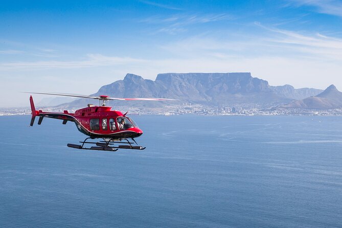 Cape Peninsula Helicopter Private Tour with Stellenbosch Wine Tasting & Lunch - Why this Cape Town day costs $798.20