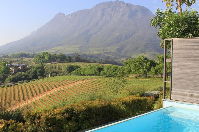 Cape Peninsula Helicopter Private Tour with Stellenbosch Wine Tasting & Lunch - Starting at the V&A Waterfront helipad