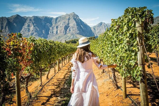 Cape Peninsula Helicopter Private Tour with Stellenbosch Wine Tasting & Lunch - Who should book this tour?