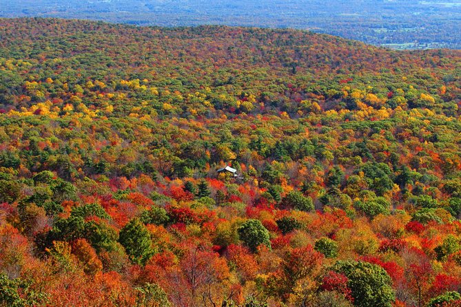 Couple's Private Hudson Valley Fall Foliage Helicopter Tour from Westchester - Kykuit and the Rockefeller view from above