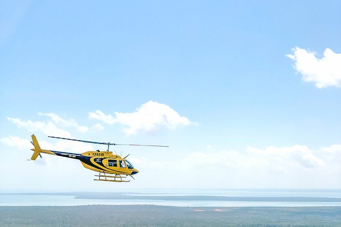 Darwin Cyclone 30 Minutes Helicopter Tour - Key points to know before booking