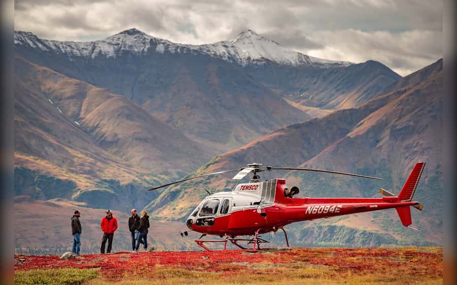 Denali National Park: Helicopter and Hike Adventure - Landing above the trees near Denali