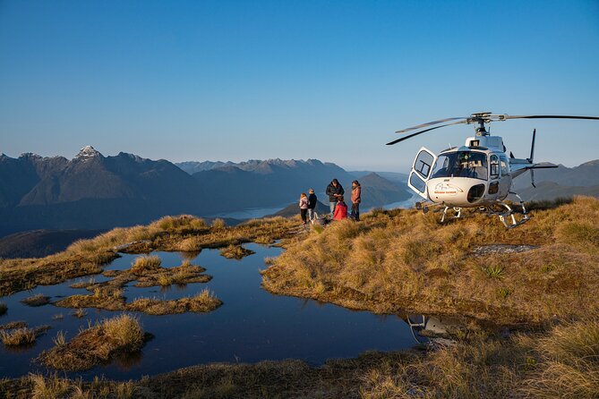 Dusky Sound // Helicopter Scenic Flight - Key points to know before booking