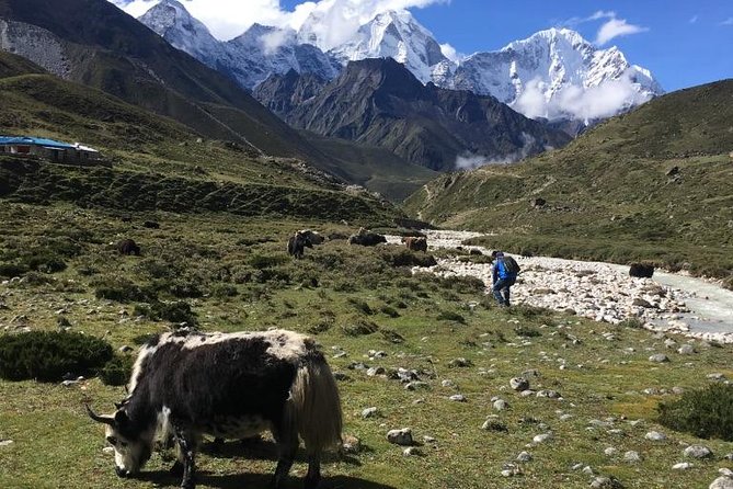 Everest Base Camp Helicopter Tour landing at Everest View Hotel - Safety and weather matter more than perfect timing