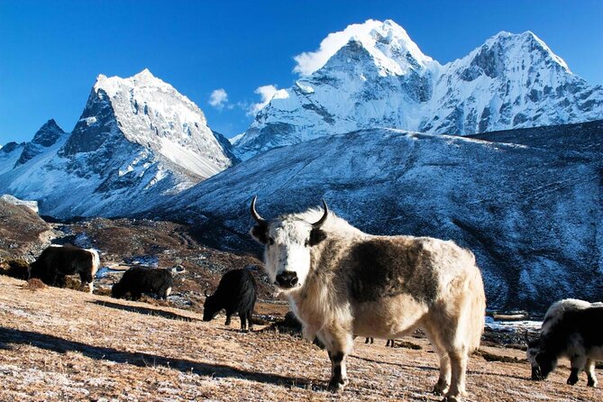 Everest Base Camp Trek with Helicopter Return from Gorakshep to Lukla - Why This Everest Trek Is Different