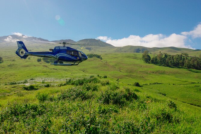 First Class Maui & Molokai Helicopter Tour with Landing - Is $821.15 per person good value?