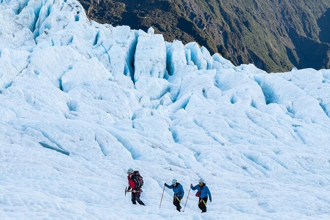 Franz Josef Small Group Bespoke Heli Hike Adventure with lunch - The helicopter flight to 1,200 metres