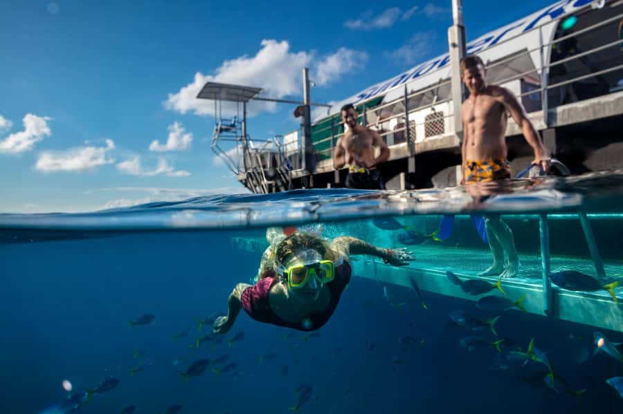 From Cairns: Outer Reef Pontoon, Island & Helicopter Tour - Two Hours to Choose Your Own Fitzroy Island