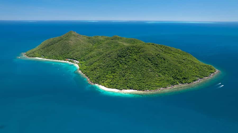 From Cairns: Outer Reef Pontoon, Island & Helicopter Tour - Who Will Enjoy This Tour Most