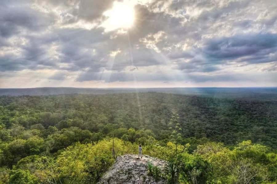 From Flores: La Danta & El Mirador Day Tour by Helicopter - The Astronomical Complex and the jungle walk