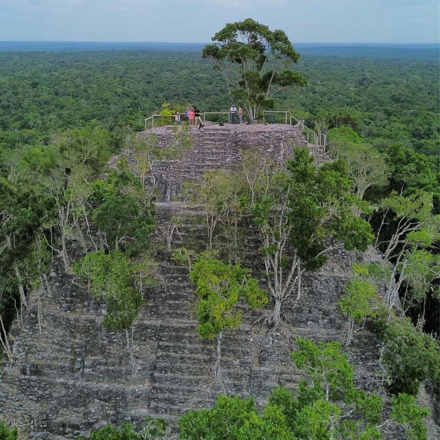 From Flores: La Danta & El Mirador Day Tour by Helicopter - The 8:00 a.m. hotel transfer