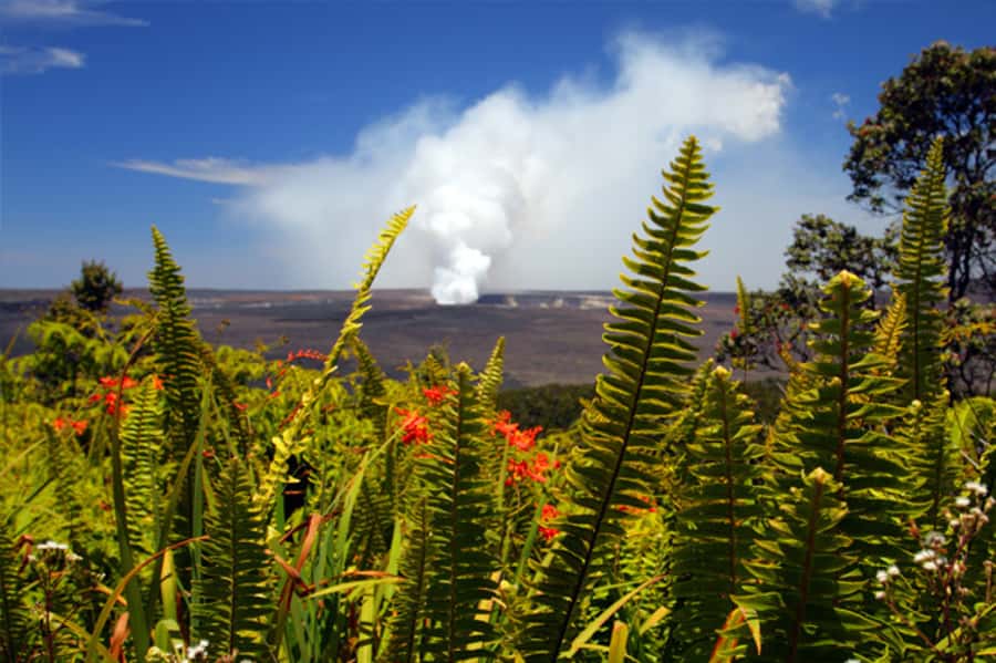 From Oahu: Big Island Volcano Adventure & Helicopter - Halema‘uma‘u Crater and Hawai‘i Volcanoes National Park